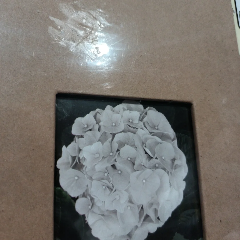Recollections 8.5